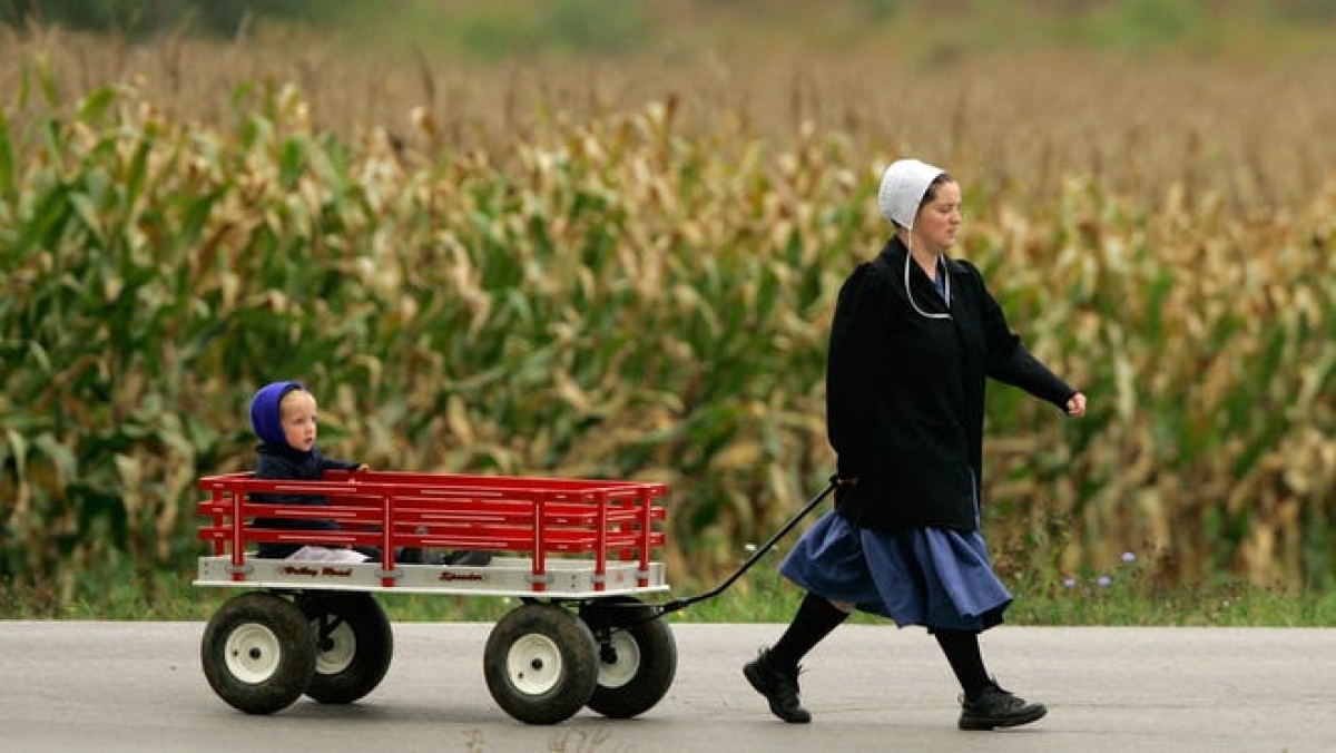 Amish – Tộc người “chối bỏ thế giới hiện đại” giữa lòng nước Mỹ - Ảnh 7.