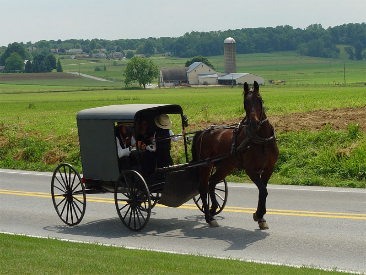 Amish – Tộc người “chối bỏ thế giới hiện đại” giữa lòng nước Mỹ - Ảnh 5.