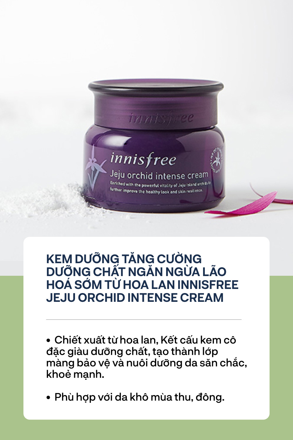 Cùng hội chị em săn lùng “vũ khí bí mật” cho làn da không tuổi từ innisfree - Ảnh 6.