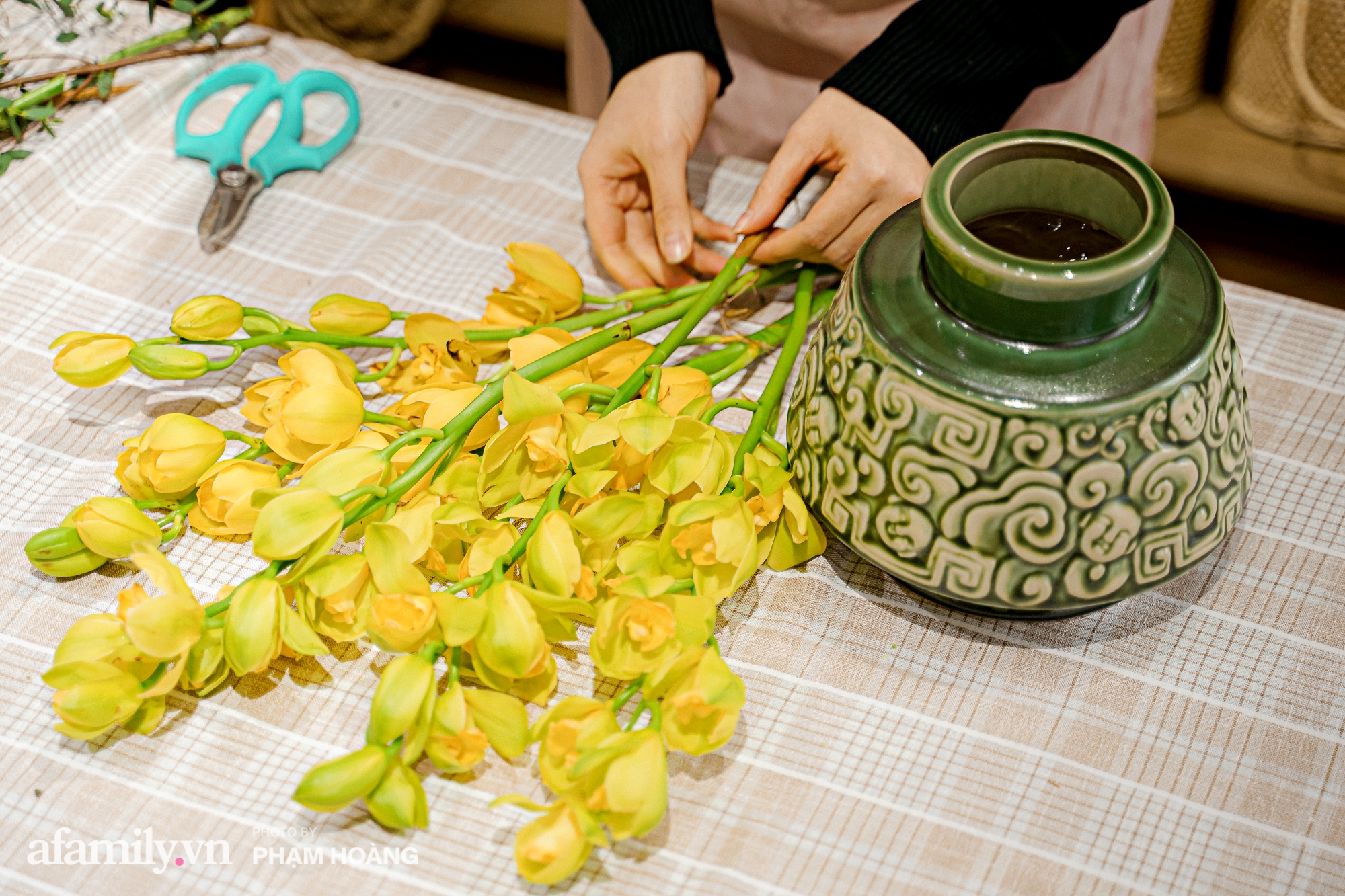 Cách chọn hoa lan hoàng thảo cách cắm hoa lan đẹp nhất để tặng người thân hoặc bạn bè