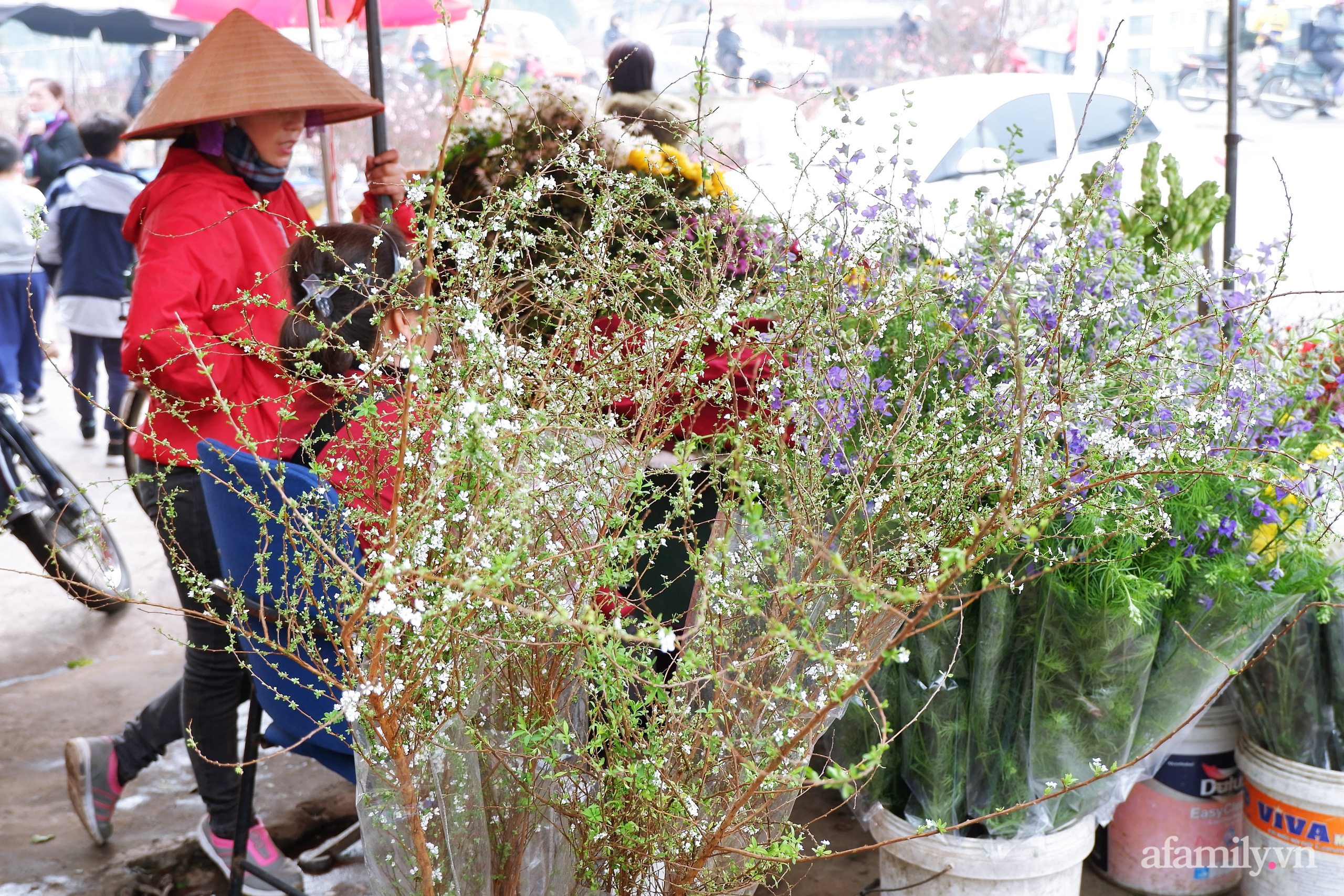 Chợ hoa lớn nhất Hà Nội nhộn nhịp, giá hoa tăng nhẹ trước thềm Tết Nguyên đán 2021  - Ảnh 9.