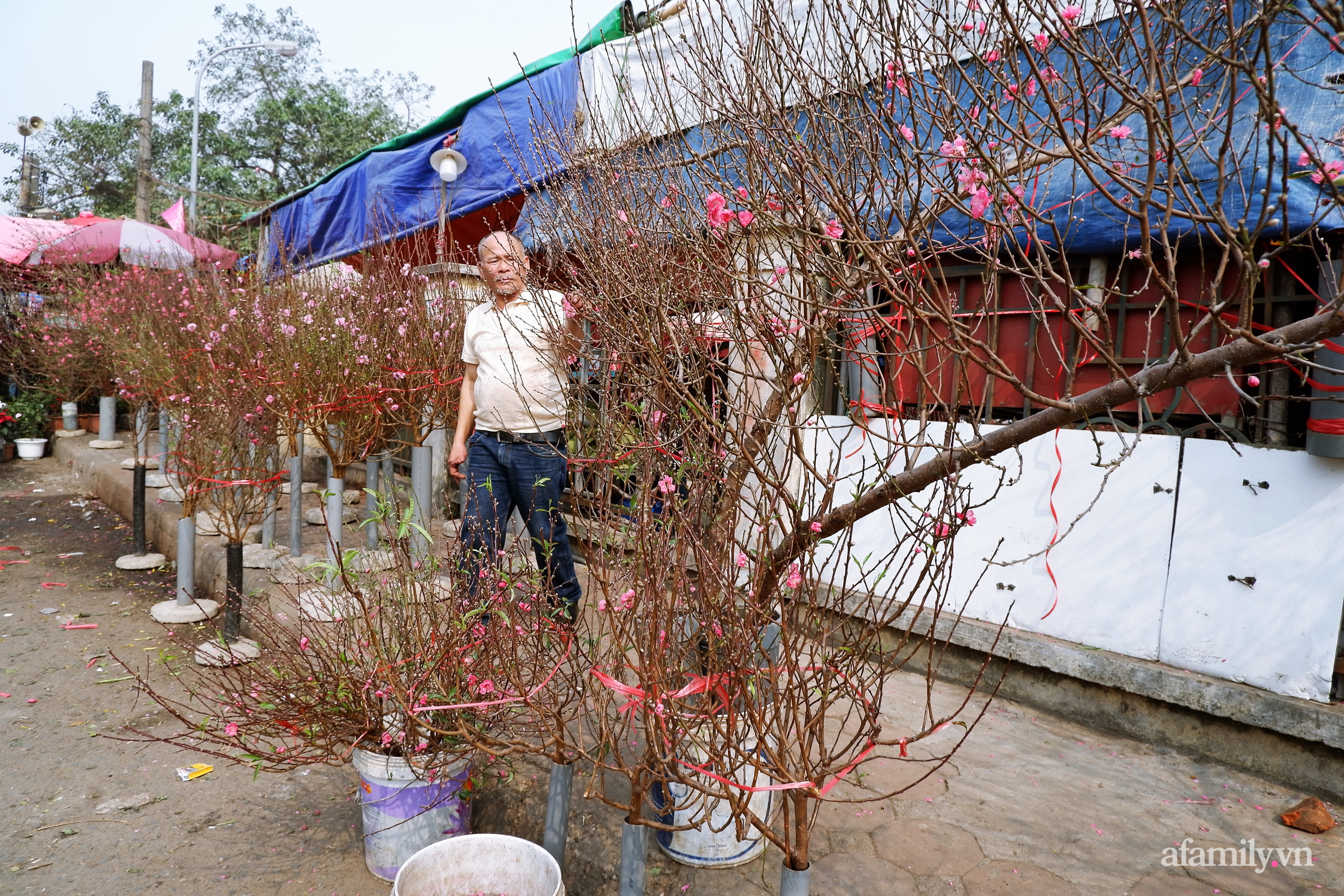 Chợ hoa lớn nhất Hà Nội nhộn nhịp, giá hoa tăng nhẹ trước thềm Tết Nguyên đán 2021  - Ảnh 10.