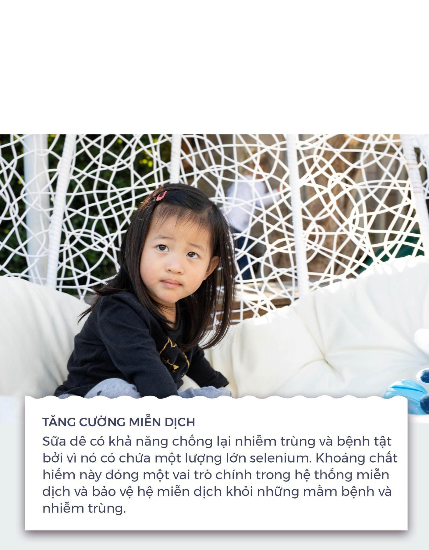 Những lợi ích bất ngờ từ sữa dê không phải mẹ nào cũng biết - Ảnh 6. Những lợi ích bất ngờ từ sữa dê không phải mẹ nào cũng biết - Ảnh 6.