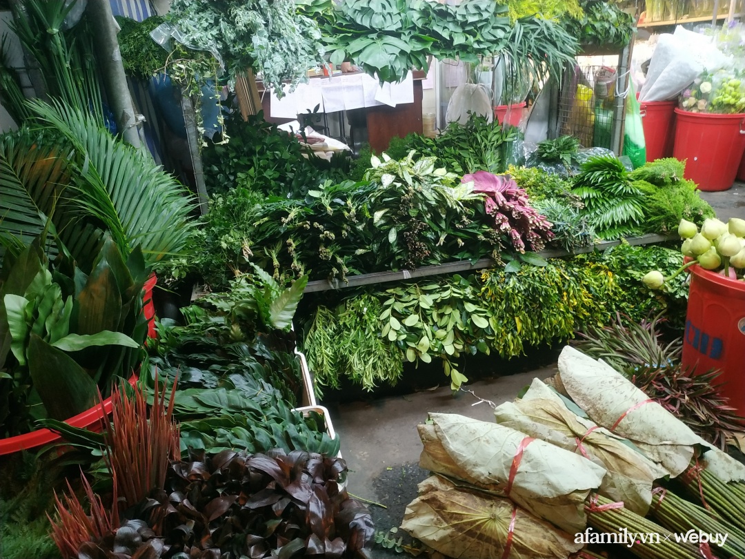Chùm ảnh: Rộn ràng không khí Tết ở chợ hoa Hồ Thị Kỷ - “tiểu Đà Lạt” giữa lòng Sài Gòn - Ảnh 12.