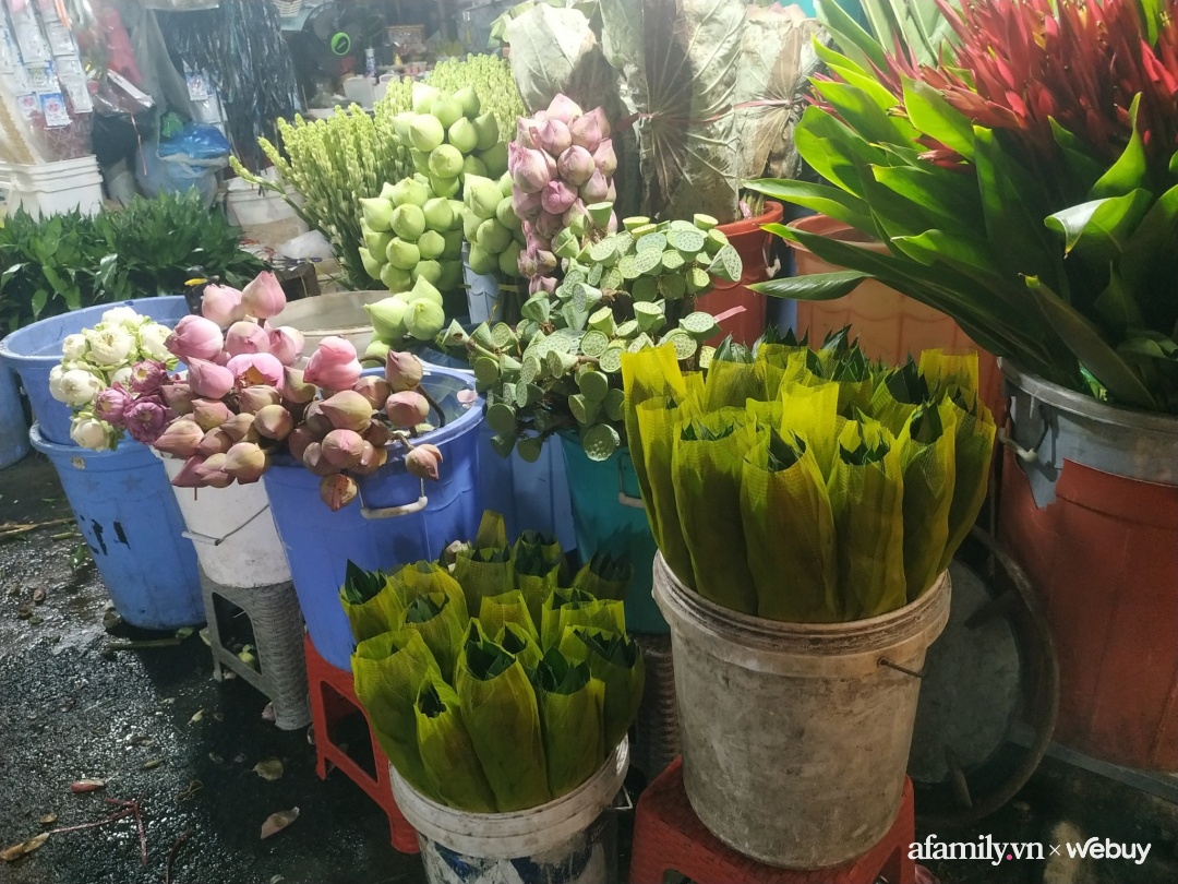 Chùm ảnh: Rộn ràng không khí Tết ở chợ hoa Hồ Thị Kỷ - “tiểu Đà Lạt” giữa lòng Sài Gòn - Ảnh 9.