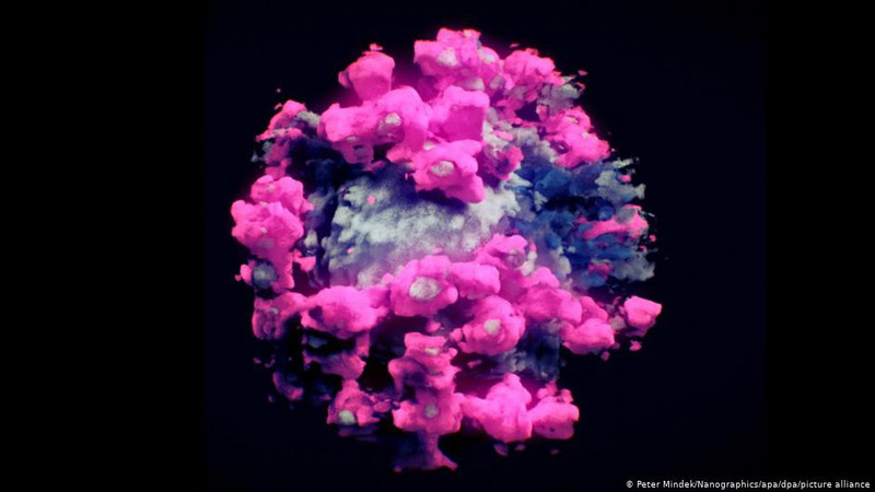 Lần đầu tiên chụp được ảnh 3D thực của virus SARS-CoV-2 - Ảnh 1. Lần đầu tiên chụp được ảnh 3D thực của virus SARS-CoV-2 - Ảnh 1.