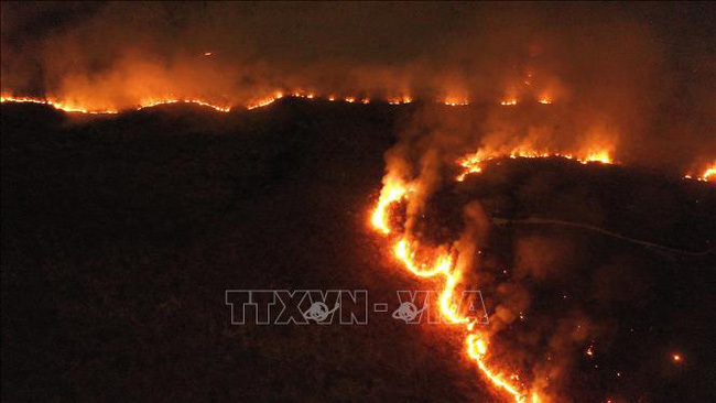 Số vụ cháy rừng tại Brazil cao nhất trong 10 năm - Ảnh 1.