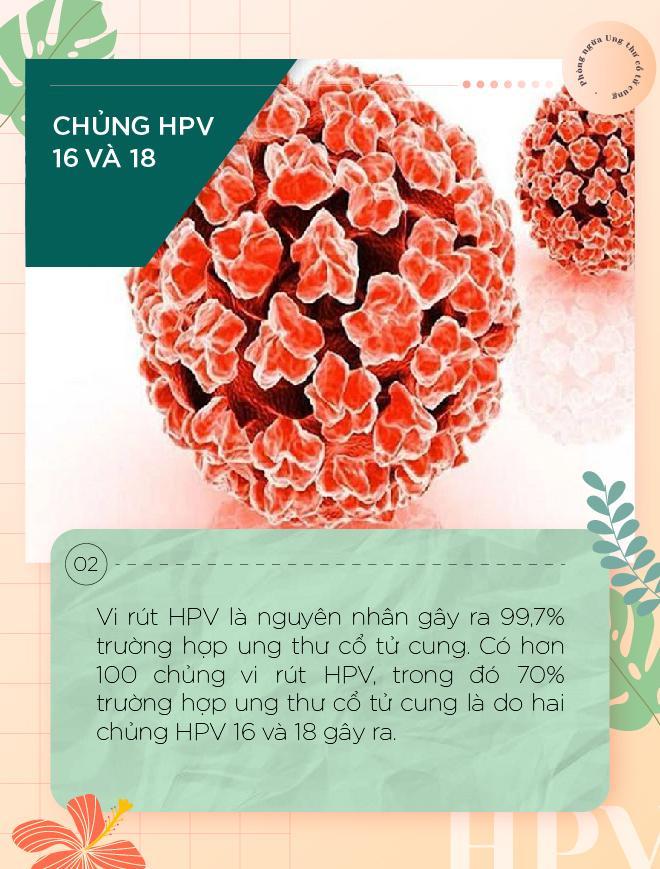 Những con số biết nói về ung thư cổ tử cung - đừng thờ ơ với việc phòng ngừa vi rút hpv - Ảnh 2. Những con số biết nói về ung thư cổ tử cung - đừng thờ ơ với việc phòng ngừa vi rút hpv - Ảnh 2.