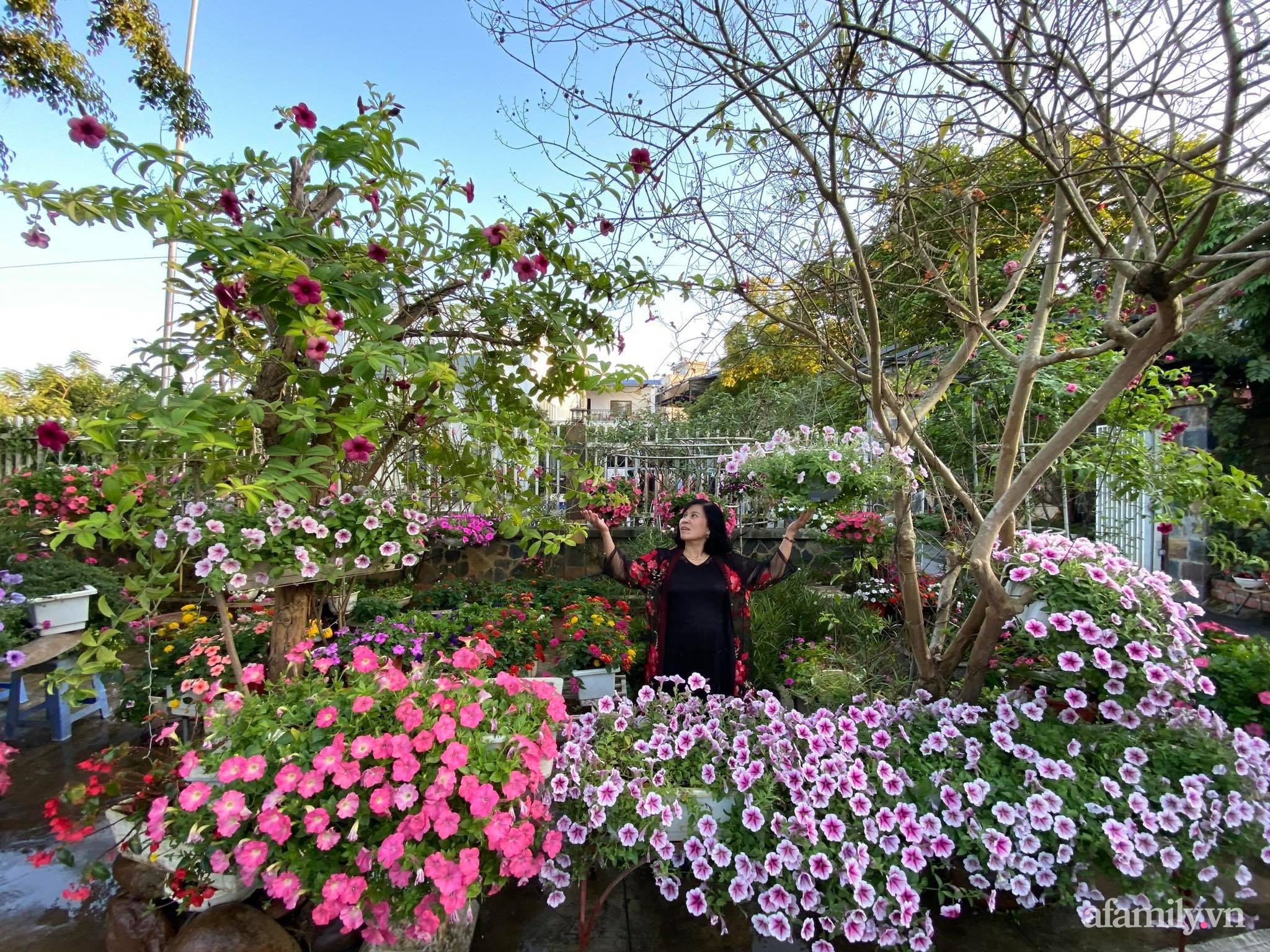 Căn nhà vườn vạn người mơ ước của người chồng chăm chỉ cuốc đất cho vợ phủ kín hoa ở TP. Điện Biên - Ảnh 17.