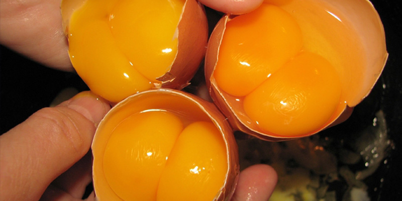 Xuất hiện trào lưu đắp mặt nạ trứng gà sữa tươi trên mạng xã hội Tiktok, chuyên gia đưa ra khuyến cáo - Ảnh 4.