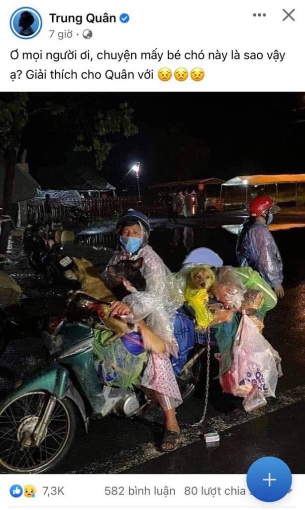 Loạt sao Việt lên tiếng trước vụ việc 15 chú chó bị thiêu hủy: Hồng Ánh gửi đơn kiến nghị lên tổ chức quốc tế - Ảnh 4. Loạt sao Việt lên tiếng trước vụ việc 15 chú chó bị thiêu hủy: Hồng Ánh gửi đơn kiến nghị lên tổ chức quốc tế - Ảnh 4.