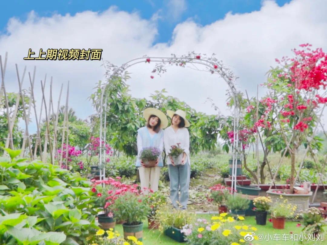 The beautiful couple who quit their jobs in the city invited each other to go back to their hometown to recuperate with their savings, officially retiring early at the age of 29 - Photo 10.