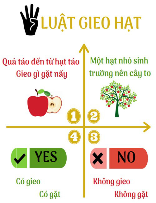 Luật nhân quả và lời cảnh tỉnh cho lối sống vô cảm thời hiện đại - Ảnh 3.