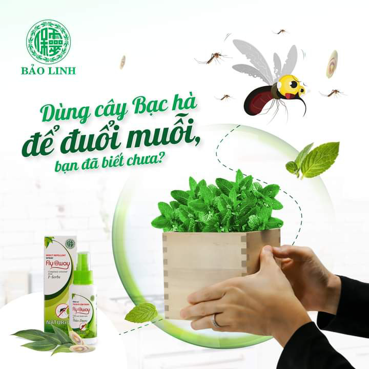 Những điều cần biết về bình xịt tinh dầu đuổi muỗi Fly@way của Công ty Đông Nam Dược Bảo Linh - Ảnh 4. Những điều cần biết về bình xịt tinh dầu đuổi muỗi Fly@way của Công ty Đông Nam Dược Bảo Linh - Ảnh 4.