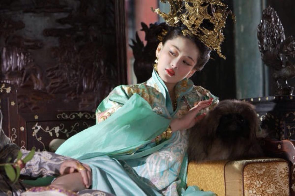 Những vị Quý phi lừng danh lịch sử Trung Hoa: Người là Tứ đại mỹ nhân có tài sắc hơn người, người lúc qua đời một xác hai mạng rất bi thảm - Ảnh 5.