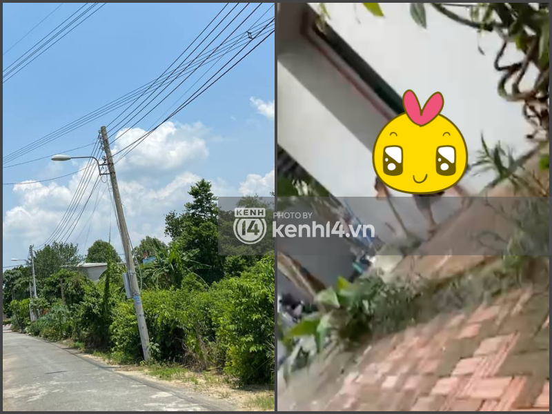 Chuyện chưa kể về bà Trần Thị Tuyết - người vợ đầu kín tiếng của đại gia Huỳnh Uy Dũng: Chị ấy rất tốt, ngày nghe tin ly hôn... ai cũng sốc - Ảnh 3. Chuyện chưa kể về bà Trần Thị Tuyết - người vợ đầu kín tiếng của đại gia Huỳnh Uy Dũng: Chị ấy rất tốt, ngày nghe tin ly hôn... ai cũng sốc - Ảnh 3.