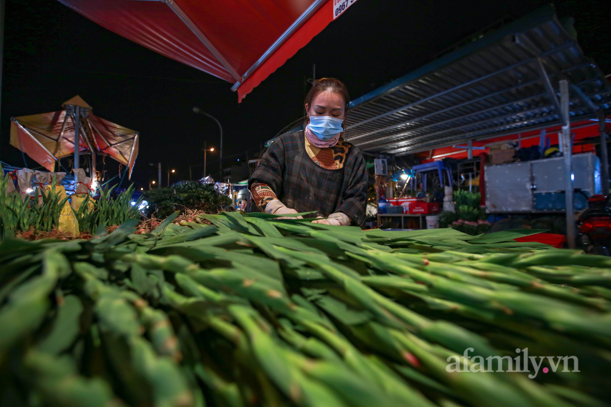 Nửa đêm, chợ hoa Quảng An nhộn nhịp người mua, kẻ bán trước ngày 20/10 - Ảnh 14.