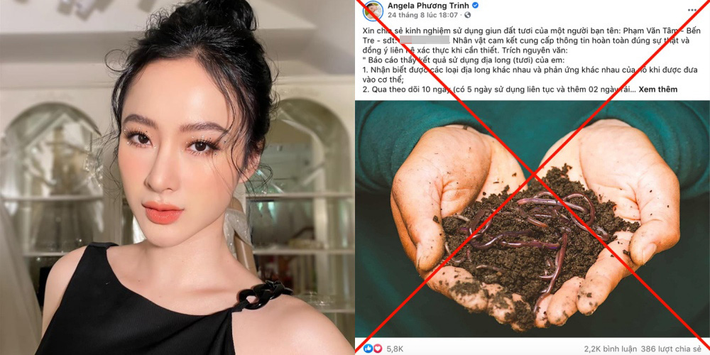 Angela Phương Trinh bị phạt vì tung tin sai sự thật - Ảnh 1. Angela Phương Trinh bị phạt vì tung tin sai sự thật - Ảnh 1.