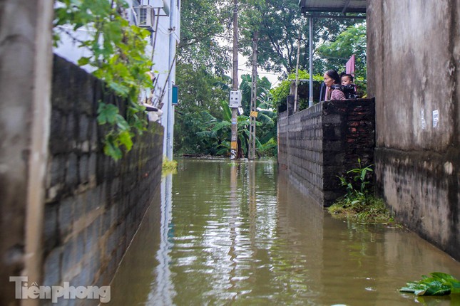 Cận cảnh hơn trăm hộ dân ở Hà Nội bị cô lập giữa biển nước - Ảnh 14.