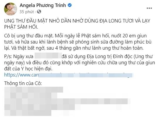 Vừa bị phạt 7,5 triệu đồng, Angela Phương Trinh tiếp tục... quảng bá giun đất! - Ảnh 2.