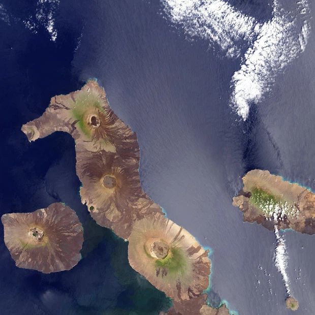 Những hòn đảo kì vĩ có hình dạng như thế giới động vật khiến ai cũng trầm trồ, sống động nhất là hòn đảo xếp số 1 - Ảnh 9.