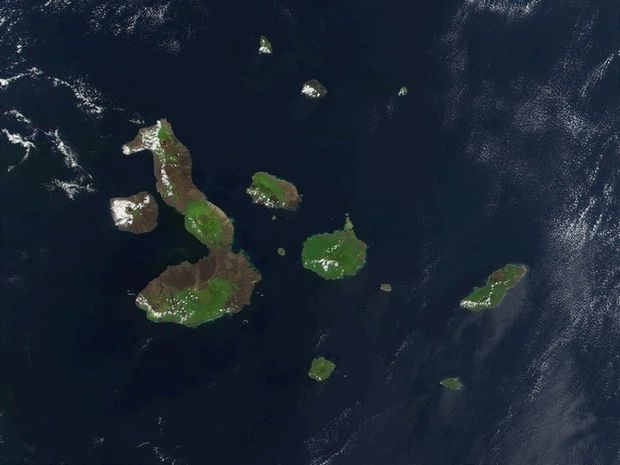 Những hòn đảo kì vĩ có hình dạng như thế giới động vật khiến ai cũng trầm trồ, sống động nhất là hòn đảo xếp số 1 - Ảnh 10.