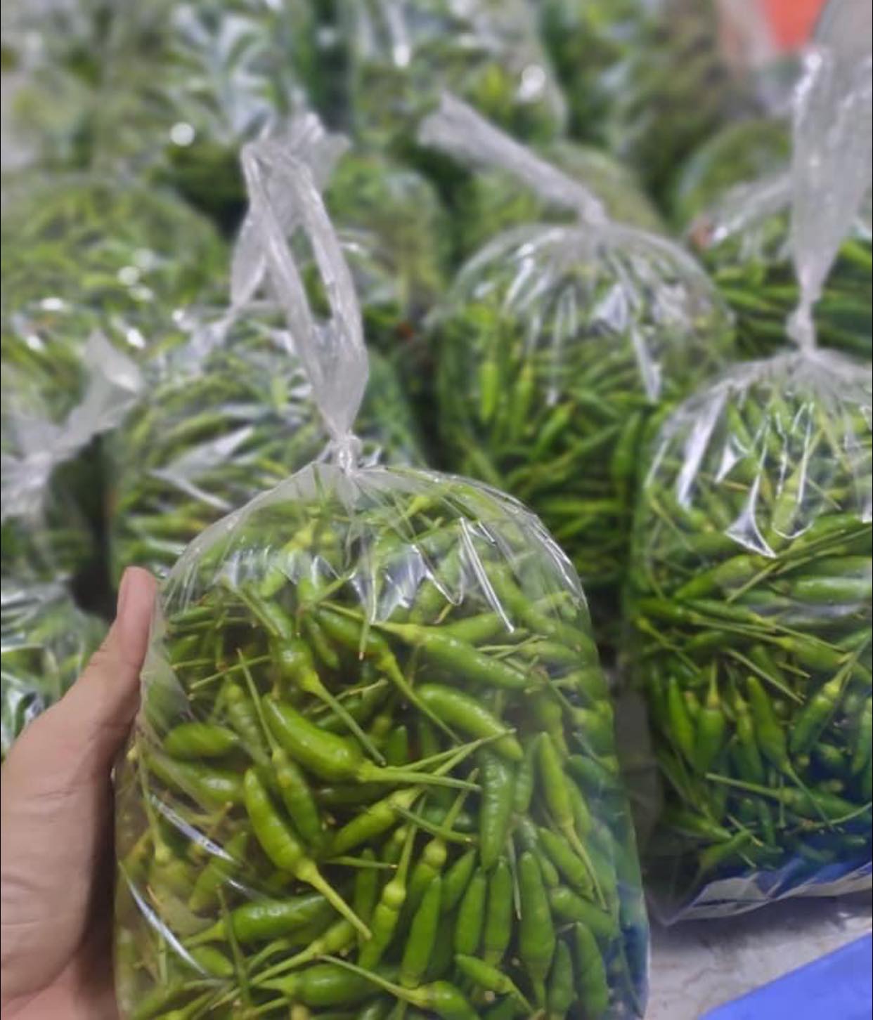 Lẩu gà lá é, món ngon "sốt" chợ mạng những ngày chớm đông, tiểu thương bán ngày 50 nồi lẩu - Ảnh 5. Lẩu gà lá é, món ngon "sốt" chợ mạng những ngày chớm đông, tiểu thương bán ngày 50 nồi lẩu - Ảnh 5.