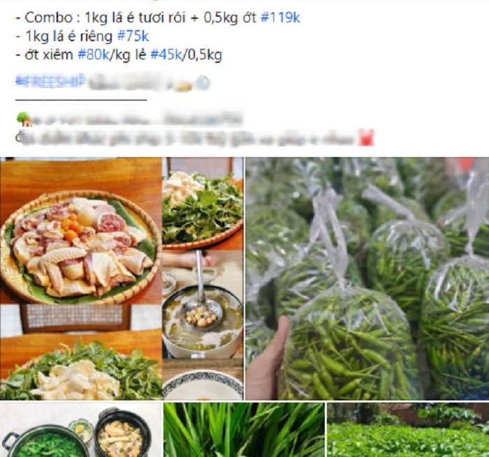 Lẩu gà lá é, món ngon "sốt" chợ mạng những ngày chớm đông, tiểu thương bán ngày 50 nồi lẩu - Ảnh 3. Lẩu gà lá é, món ngon "sốt" chợ mạng những ngày chớm đông, tiểu thương bán ngày 50 nồi lẩu - Ảnh 3.