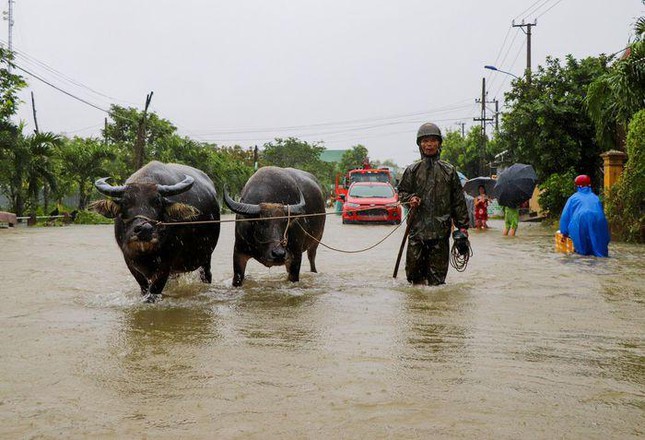 Mưa lớn kéo dài, hàng nghìn ngôi nhà tại Quảng Nam – Quảng Ngãi ngập sâu trong nước - Ảnh 1.