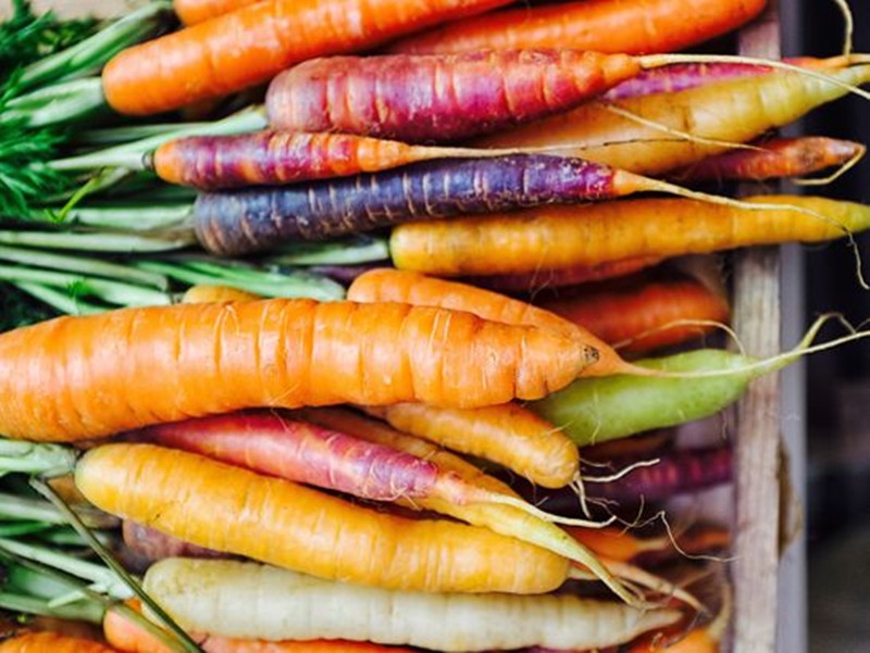 12 sai lầm khi trồng rau tại nhà khiến chi phí bỏ ra thậm chí đắt hơn mua thực phẩm hữu cơ ngoài cửa hàng! - Ảnh 3.