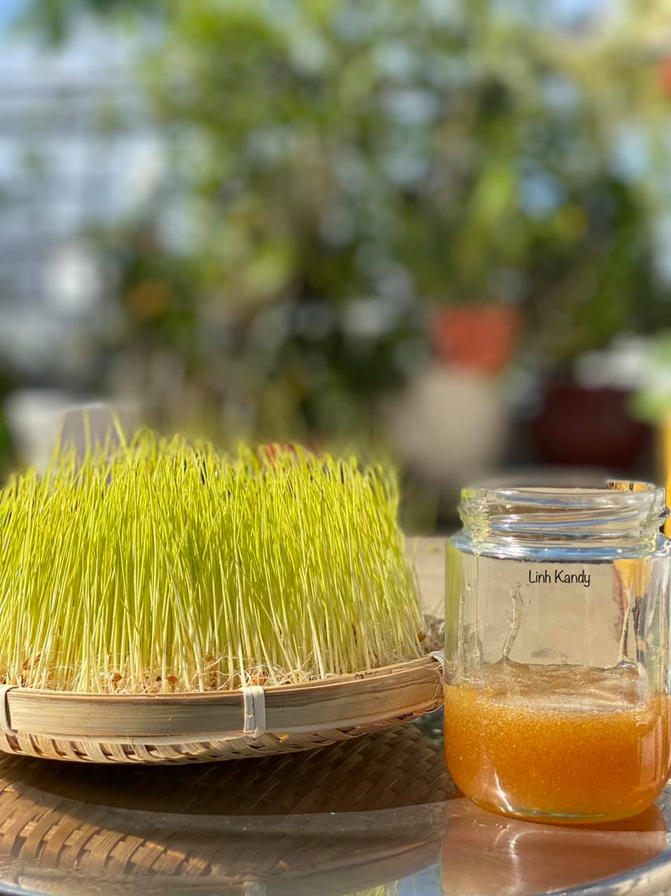 Trải nghiệm 14 ng&agrave;y l&agrave;m mạch nha giữa S&agrave;i G&ograve;n, 9X khoe th&agrave;nh quả mướt mắt khiến chị em n&agrave;o cũng muốn thử - Ảnh 29.