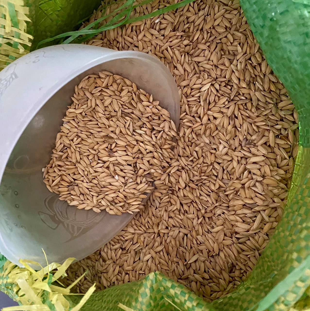 Trải nghiệm 14 ng&agrave;y l&agrave;m mạch nha giữa S&agrave;i G&ograve;n, 9X khoe th&agrave;nh quả mướt mắt - Ảnh 2.