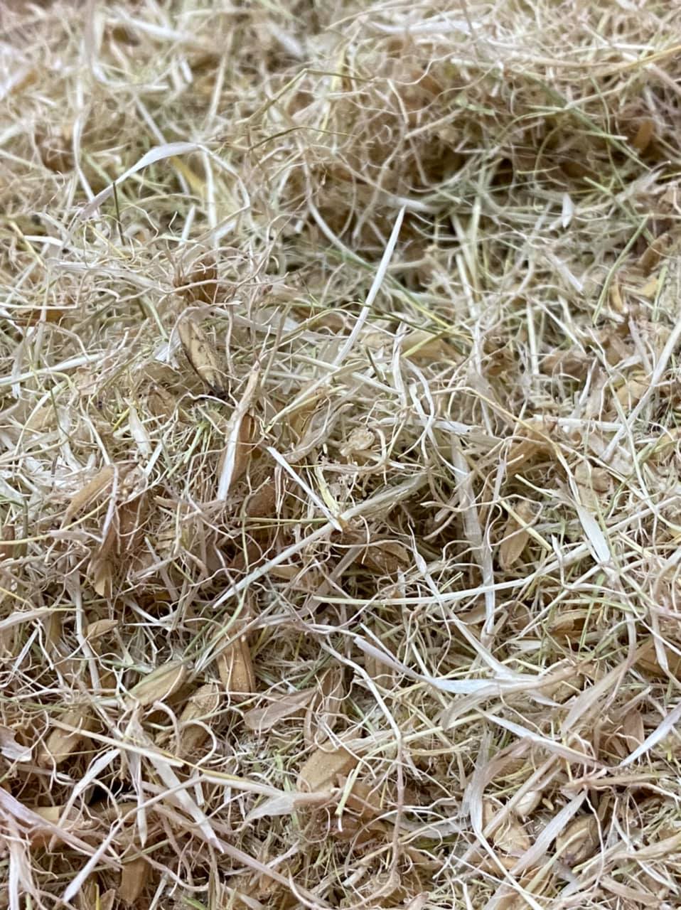 Trải nghiệm 14 ng&agrave;y l&agrave;m mạch nha giữa S&agrave;i G&ograve;n, 9X khoe th&agrave;nh quả mướt mắt - Ảnh 14.