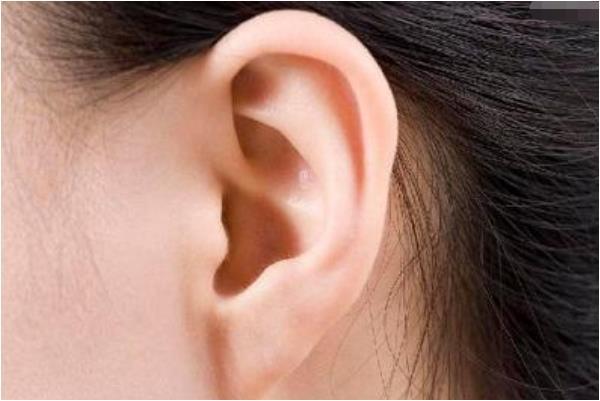 Tài vận đến từ những đôi tai có đặc điểm này, càng lớn tuổi càng may mắn, giàu có vinh hoa, bạn có sở hữu không? - Ảnh 3. Tài vận đến từ những đôi tai có đặc điểm này, càng lớn tuổi càng may mắn, giàu có vinh hoa, bạn có sở hữu không? - Ảnh 3.