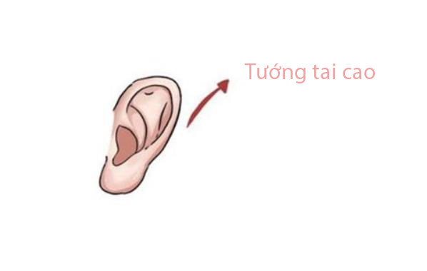 Tài vận đến từ những đôi tai có đặc điểm này, càng lớn tuổi càng may mắn, giàu có vinh hoa, bạn có sở hữu không? - Ảnh 2. Tài vận đến từ những đôi tai có đặc điểm này, càng lớn tuổi càng may mắn, giàu có vinh hoa, bạn có sở hữu không? - Ảnh 2.