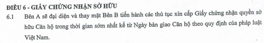 Hà Nội: Cư dân khởi kiện chủ đầu tư chung cư dát vàng sau 7 năm vẫn chưa có sổ đỏ - Ảnh 2.