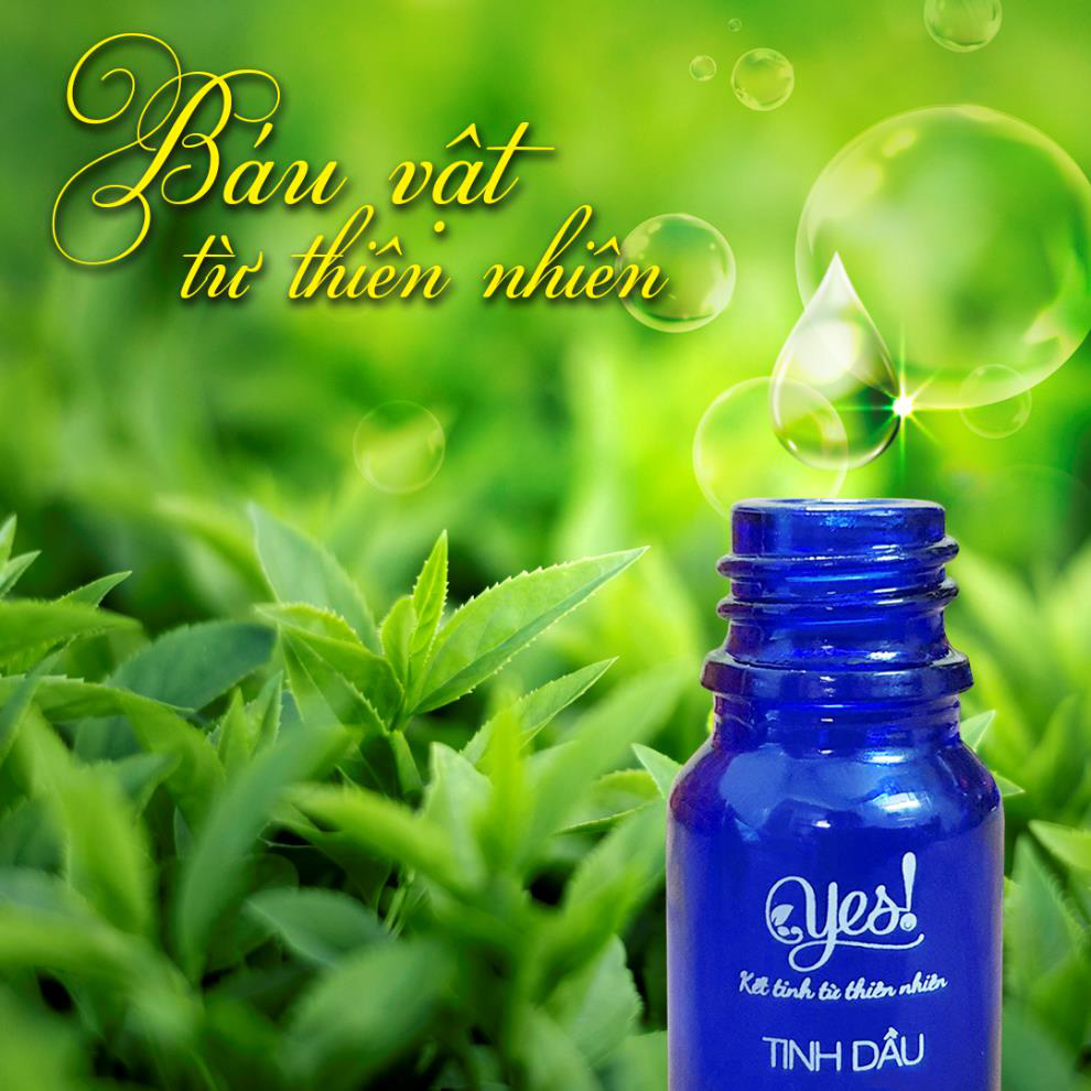 Tinh dầu c&oacute; lợi &iacute;ch g&igrave; với sức khỏe v&agrave; l&agrave;m đẹp? - Ảnh 5.