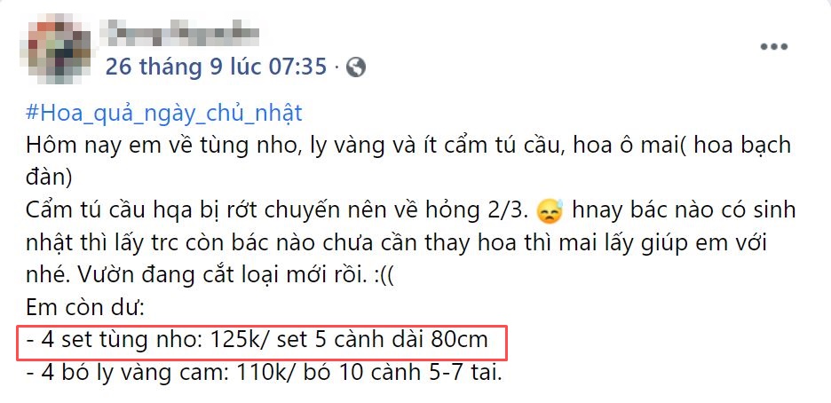 Mẹ đảm Hà Nội "mách nhỏ" loại cành cắm mang Thu vào nhà, giá 125k/5 cành đặt góc nào cũng ra bức ảnh như ở trời Tây - Ảnh 8. Mẹ đảm Hà Nội "mách nhỏ" loại cành cắm mang Thu vào nhà, giá 125k/5 cành đặt góc nào cũng ra bức ảnh như ở trời Tây - Ảnh 8.