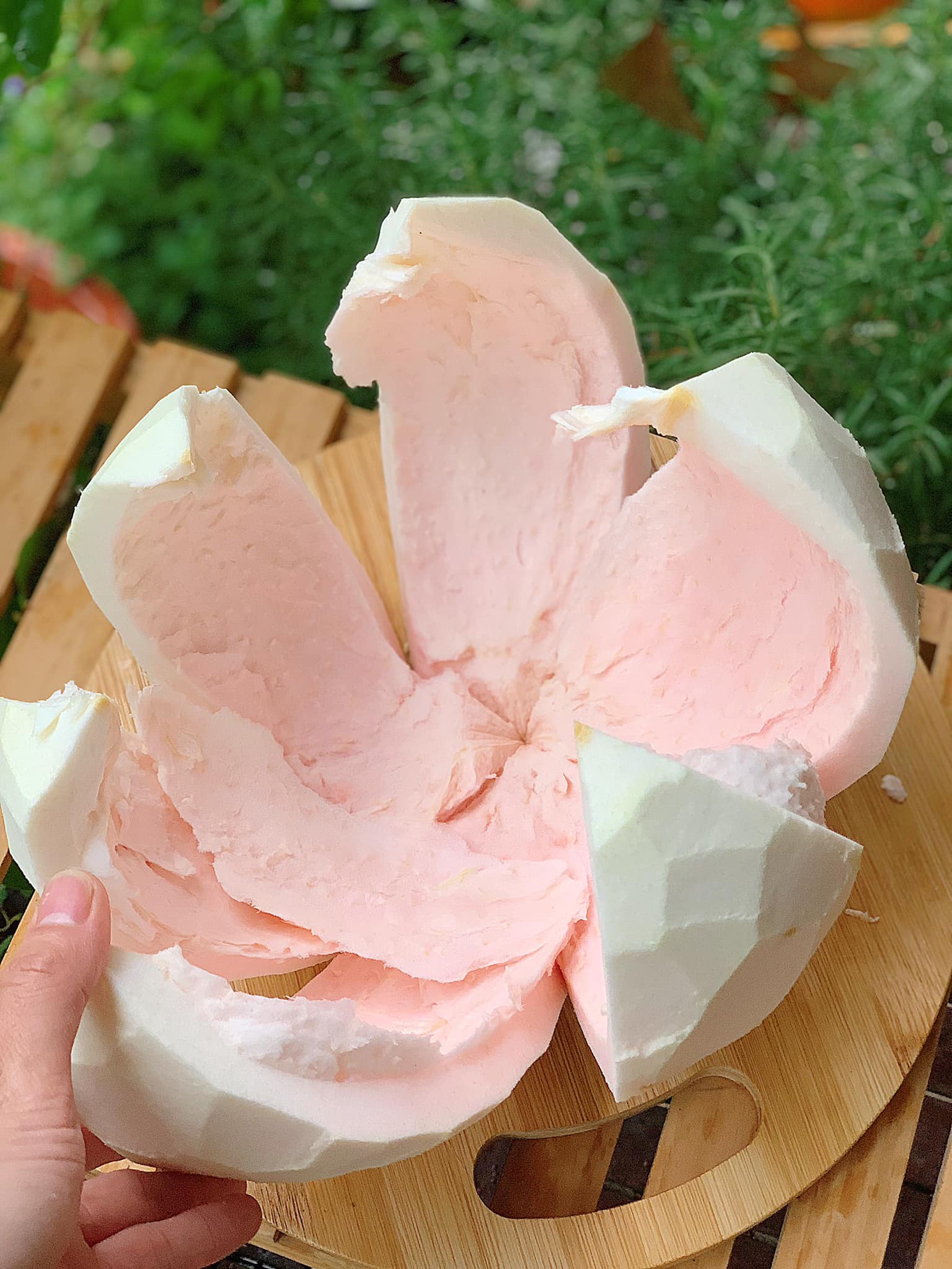 Ch&egrave; bưởi - Ảnh 3.