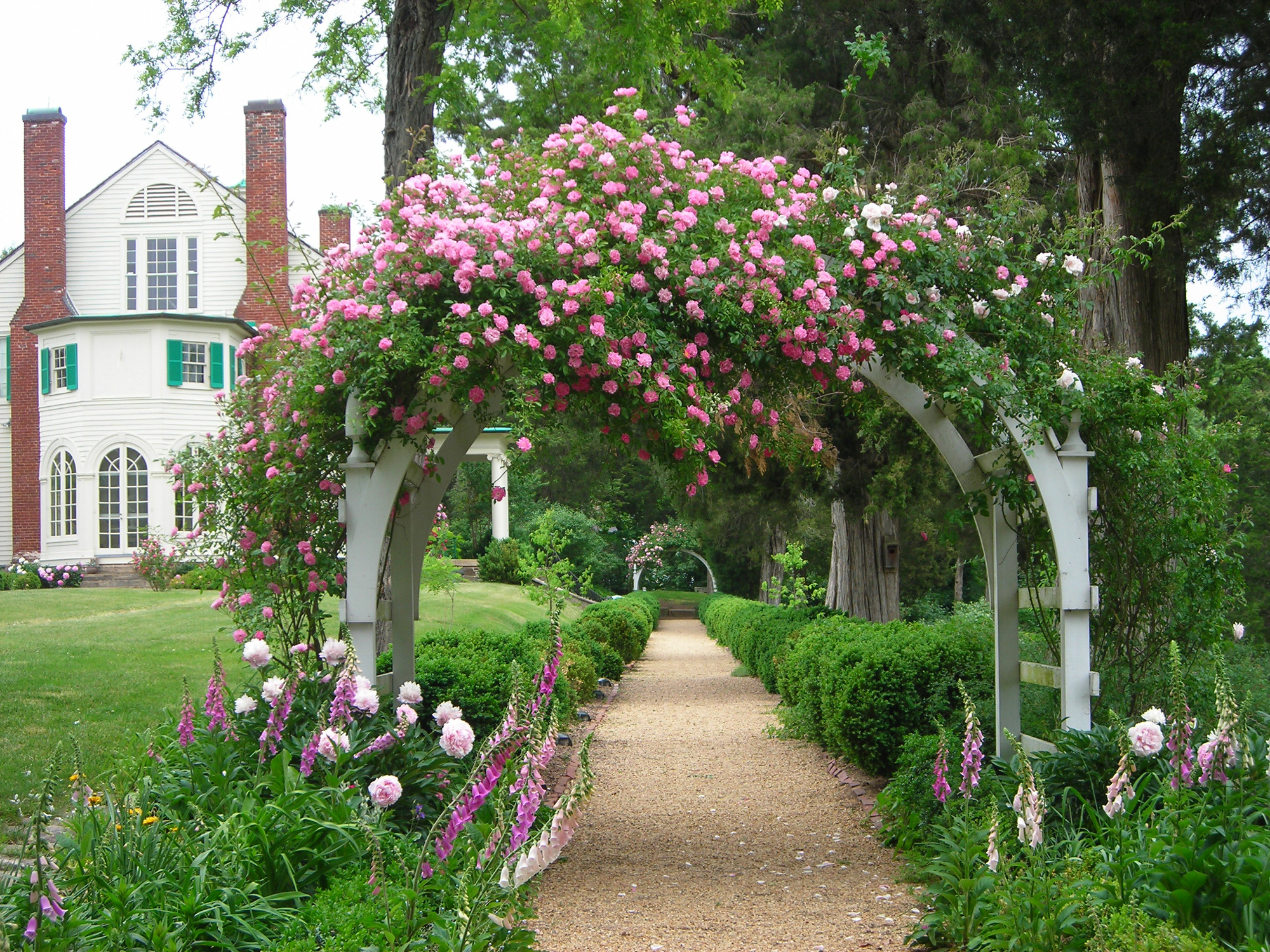 Những cổng nhà có hoa hồng leo lãng mạn đẹp đến &quot;lịm tim&quot; - Ảnh 4.