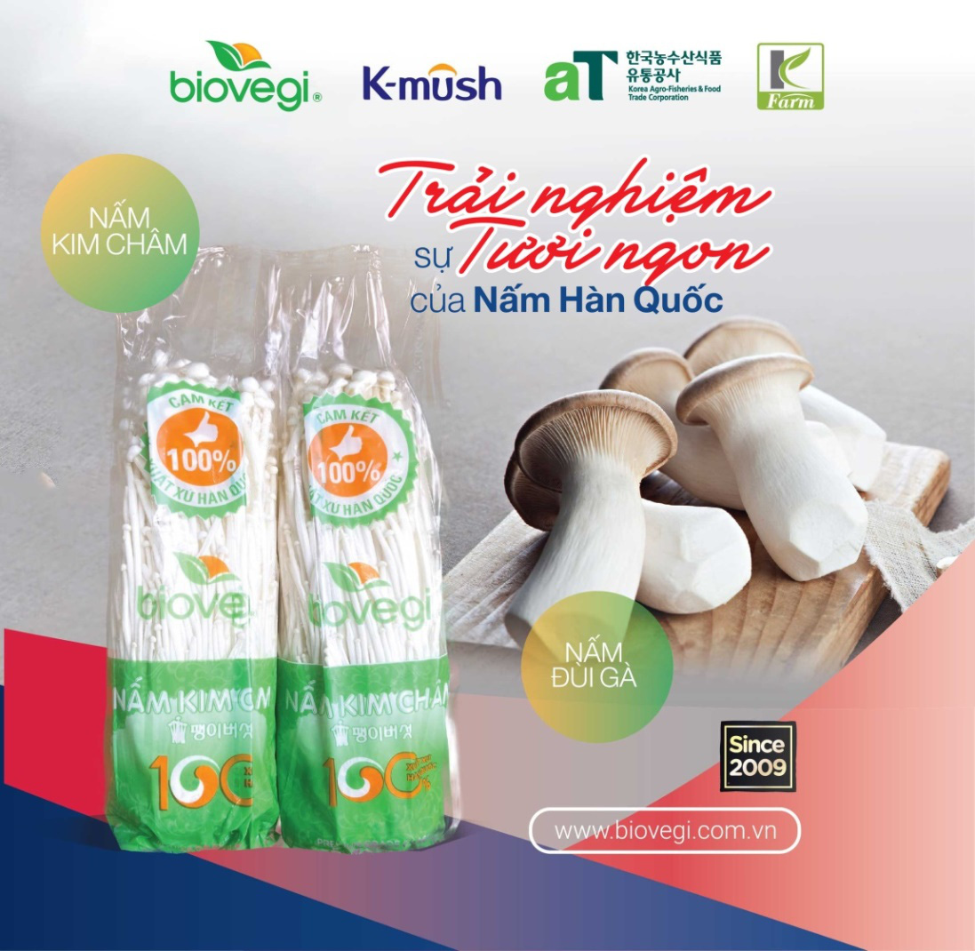 Cùng Biovegi chọn nấm kim châm chuẩn Hàn Quốc cho gia đình - Ảnh 5.