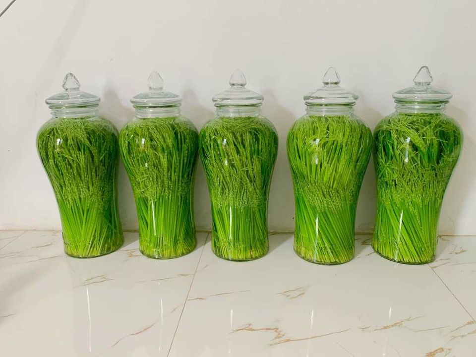 Rượu nếp cẩm thơm ngon, đẹp mắt được chị em háo hức order về cho chồng uống trong dịp Ted - Ảnh 4. Rượu nếp cẩm thơm ngon, đẹp mắt được chị em háo hức order về cho chồng uống trong dịp Ted - Ảnh 4.