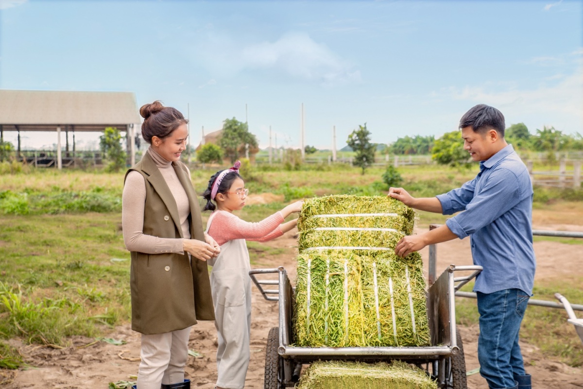 Mách bạn cách lên kế hoạch du lịch an toàn cho cả gia đình với ngân sách tối ưu, tiết kiệm trong mùa dịch  - Ảnh 7.