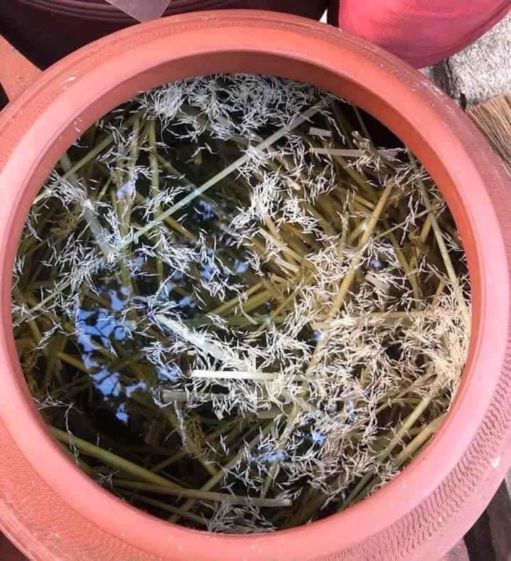Rượu nếp cẩm thơm ngon, đẹp mắt được chị em háo hức đặt hàng cho chồng uống Tết - Ảnh 5. Rượu nếp cẩm thơm ngon, đẹp mắt được chị em háo hức đặt hàng cho chồng uống Tết - Ảnh 5.