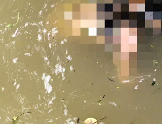 Truy tìm tung tích thi thể nữ giới nổi trên sông Hương - Ảnh 1.