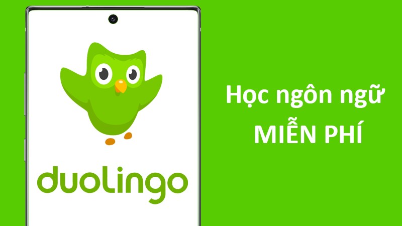 "Đột nhập" app ngoại ngữ MIỄN PHÍ đang hót họt: Đủ dạng bài nghe nói đọc viết, cà khịa thẳng mặt nếu bạn quên học 1 ngày - Ảnh 1.