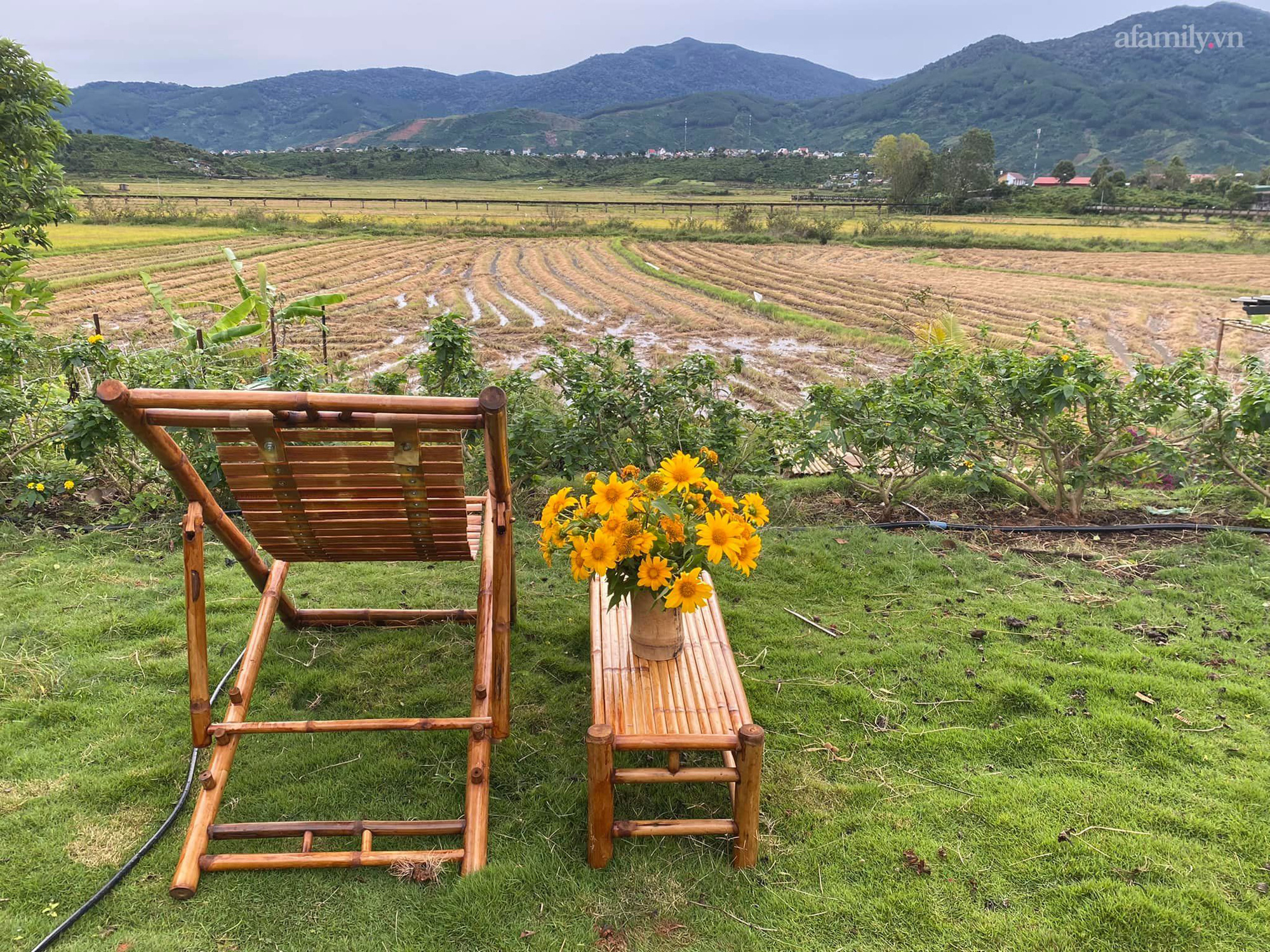 Ngôi nhà nằm giữa cánh đồng quê có khu vườn đẹp như cổ tích của mẹ đơn thân tại Lâm Đồng - Ảnh 16.