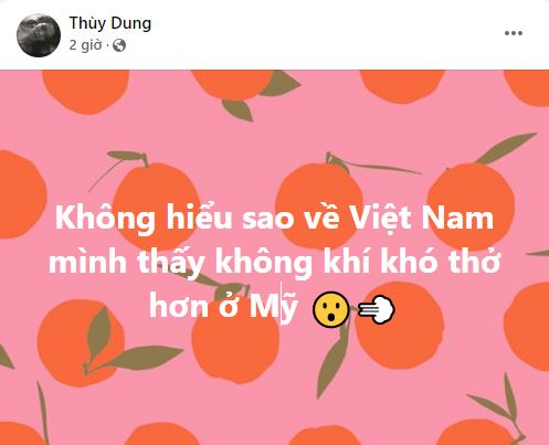 Hoa hậu Thùy Dung gây tranh cãi khi phát ngôn &quot;về Việt Nam thấy không khí khó thở hơn Mỹ&quot;  - Ảnh 1.