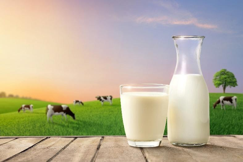 Lựa chọn mới giúp tối ưu dinh dưỡng, tăng cường miễn dịch cho bé - Ảnh 1. Lựa chọn mới giúp tối ưu dinh dưỡng, tăng cường miễn dịch cho bé - Ảnh 1.