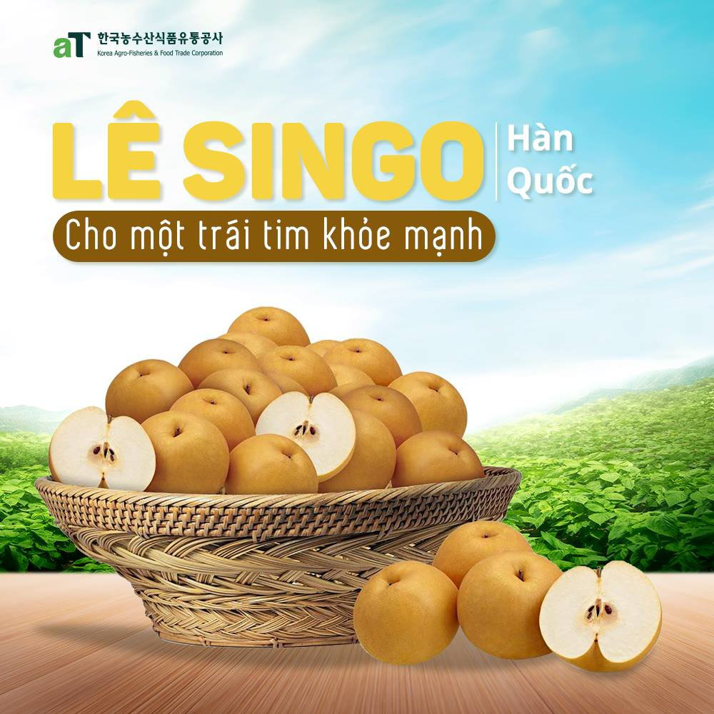 Những công dụng tuyệt vời có thể bạn chưa biết về trái lê Hàn Quốc - Ảnh 2. Những công dụng tuyệt vời có thể bạn chưa biết về trái lê Hàn Quốc - Ảnh 2.
